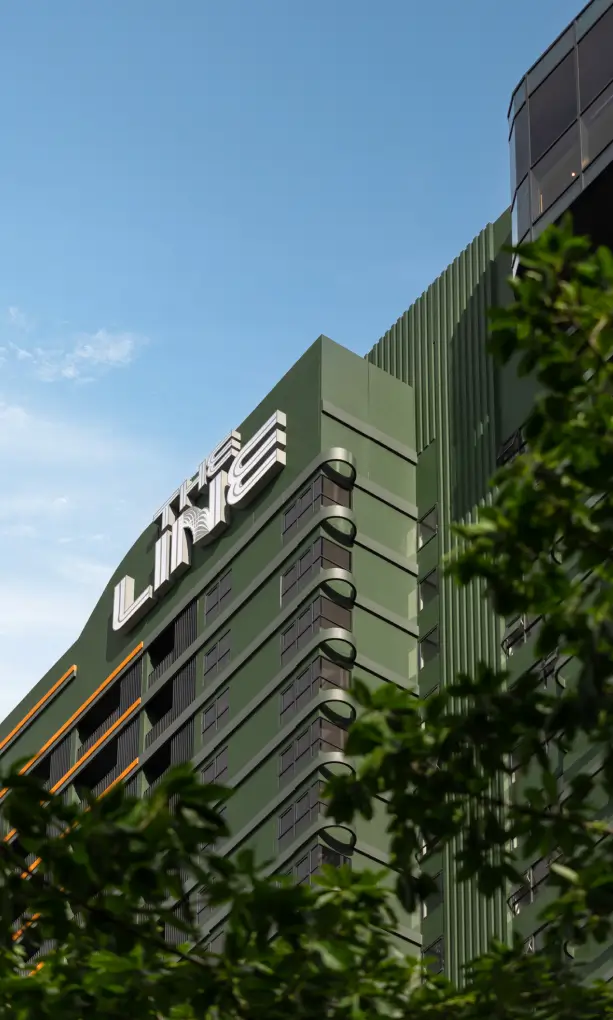 เดอะ ไลน์