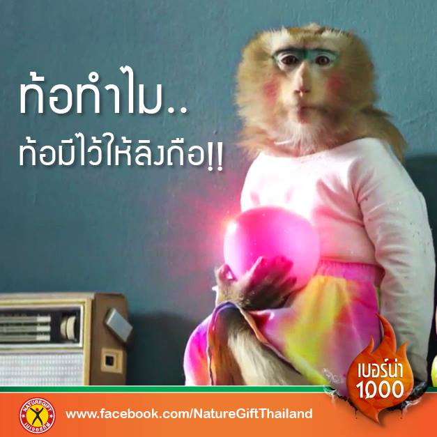 Poompat Ngoeyvichit