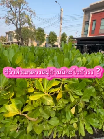TikTok video 7365332598089895176