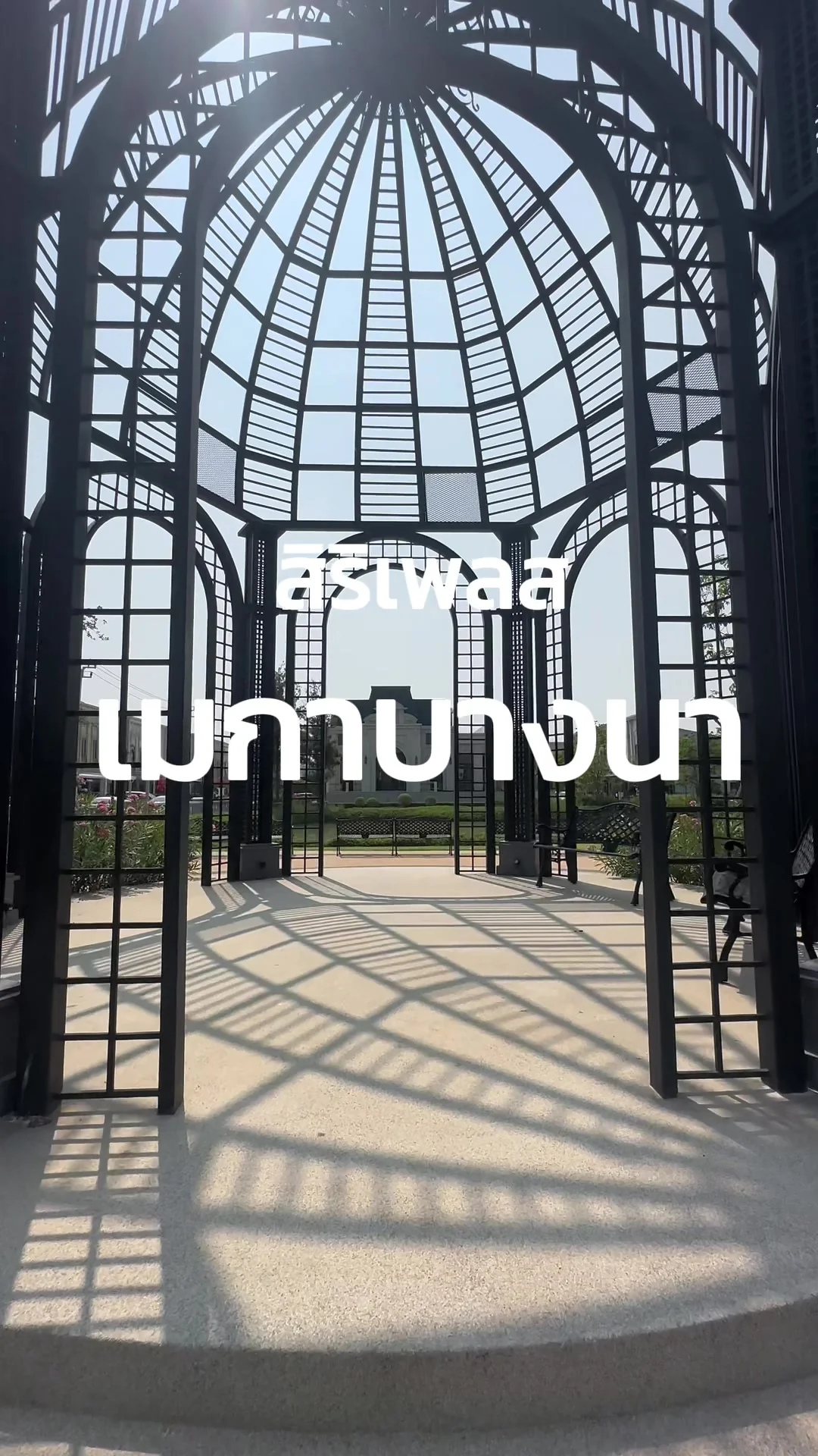 TikTok video 7369516668088782096