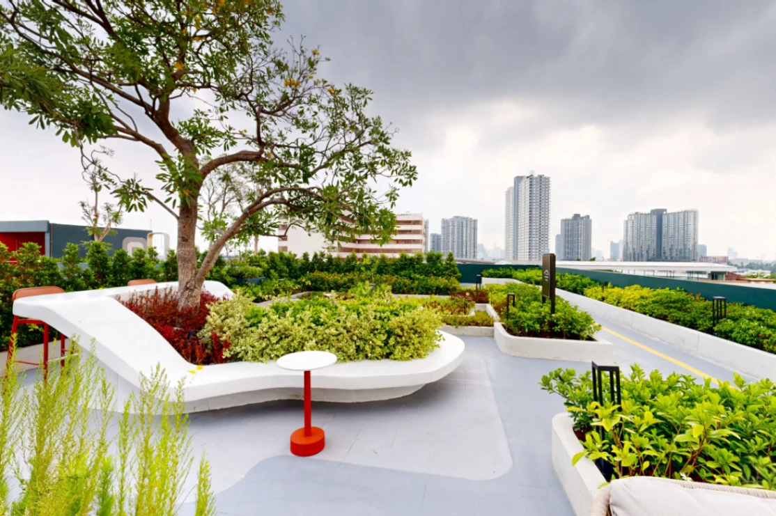 Rooftop Garden