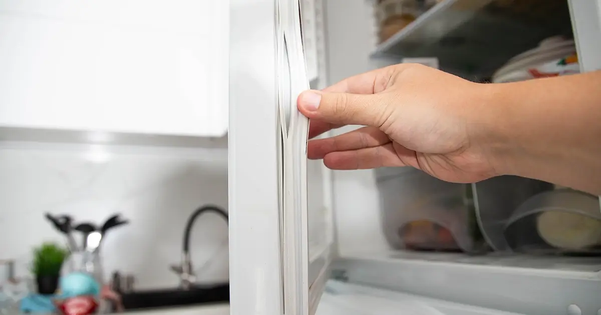 วิธีแก้ไขเบื้องต้นตู้เย็นไม่เย็นง่ายๆ ด้วยตัวเองด้วยการตรวจสอบขอบยางตู้เย็น
