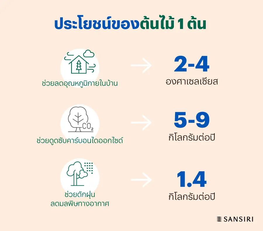 ประโยชน์ของการปลูกต้นไม้ประดับในบ้าน