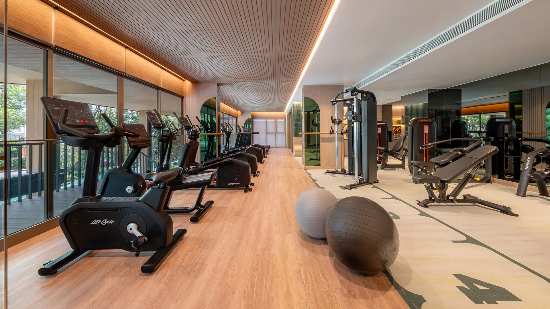 GYM