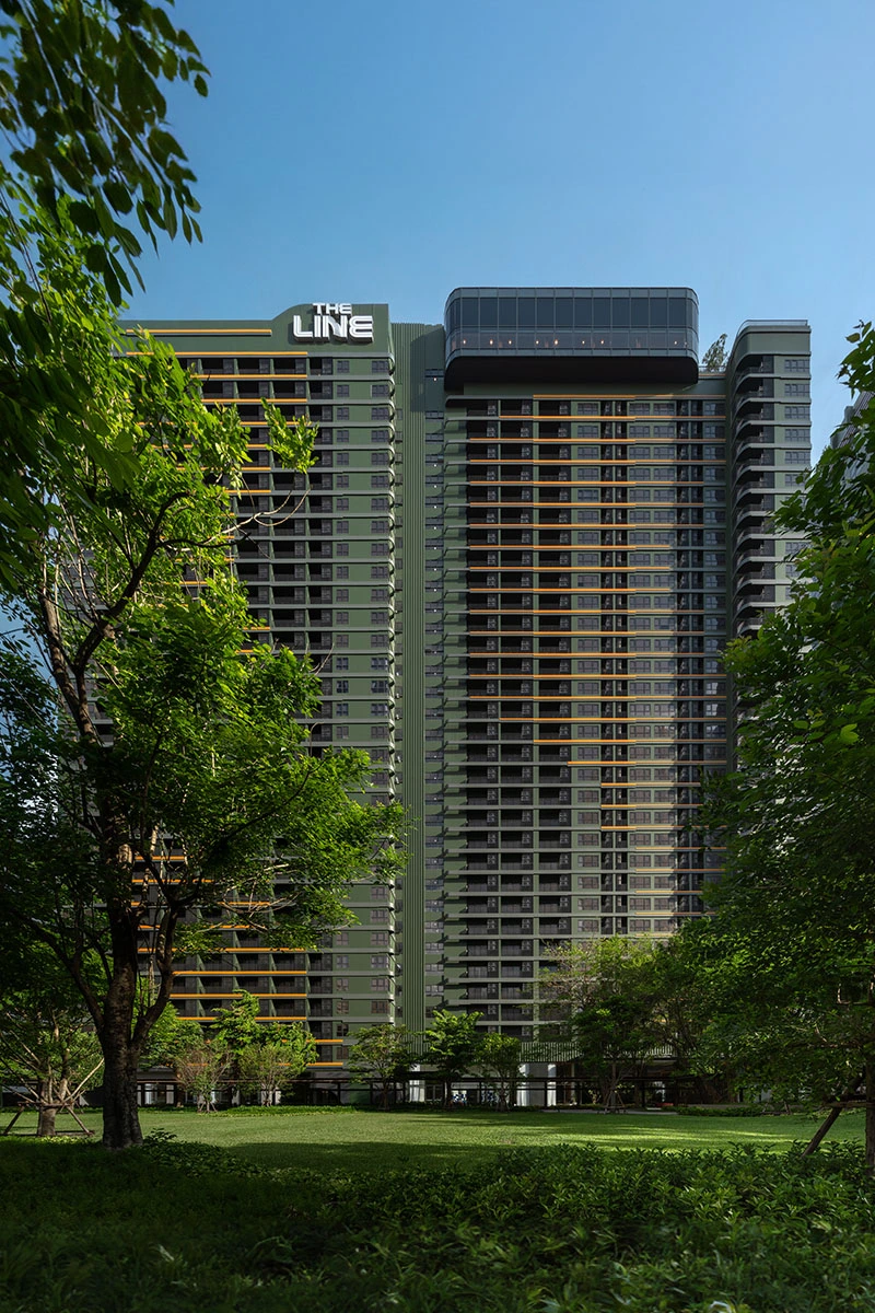 เดอะ ไลน์ ไวบ์