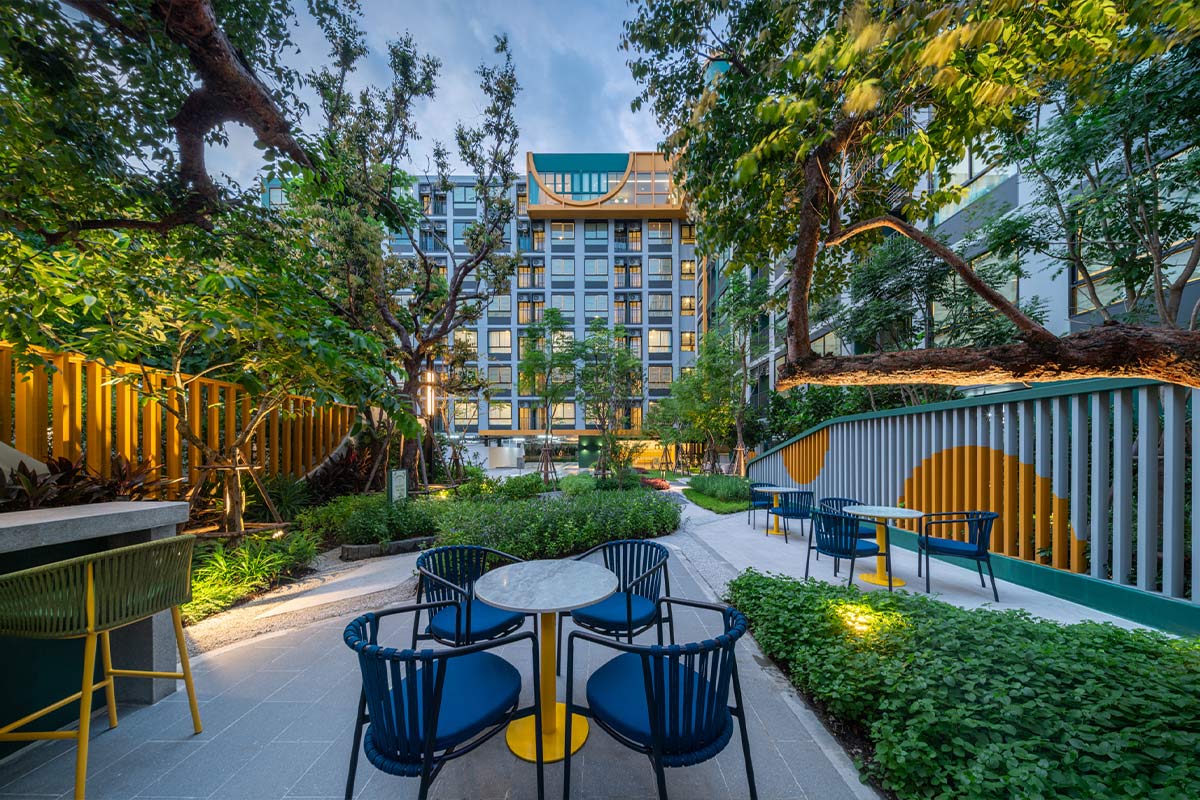 เดอะ มูฟ พอว์ บางแค